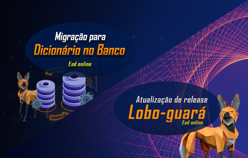 Atualização de release (Lobo-guará) + Migração para Dicionário no Banco