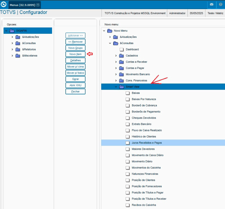 Como colocar relatórios no menu do SmartView? - User Function